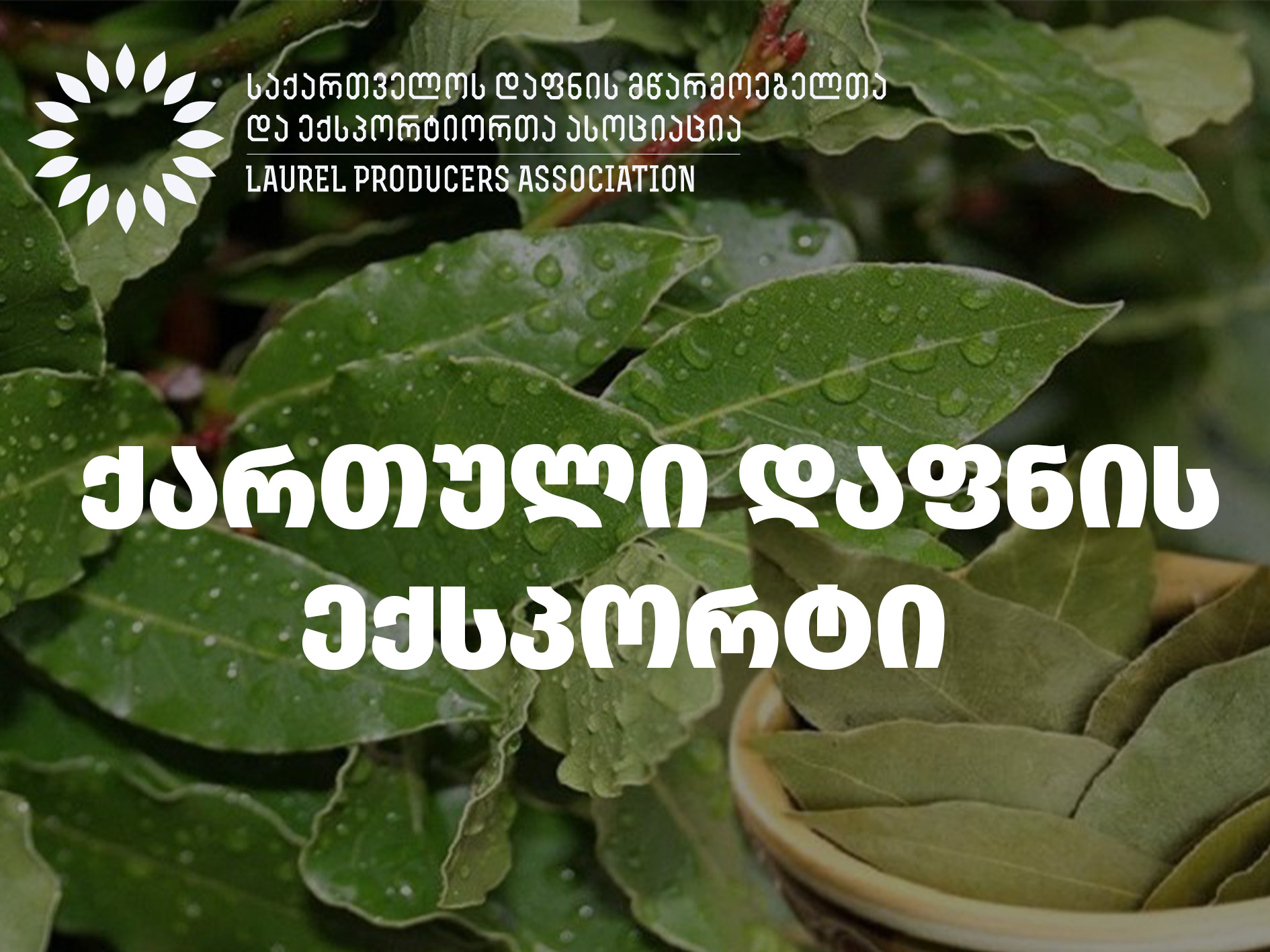 ქართული დაფნის ექსპორტი  – გამოწვევები და ტენდენციები